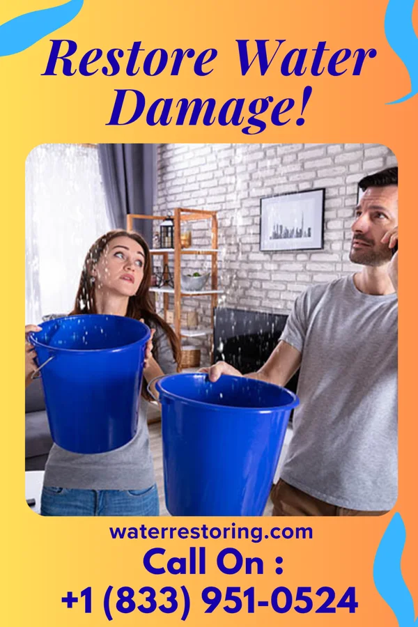 water restoration Superior Flood Cleanup Specialists Highland Park