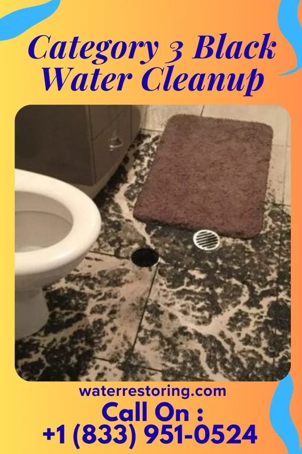 Category 3 Black Water Cleanup in Highland Park, TX