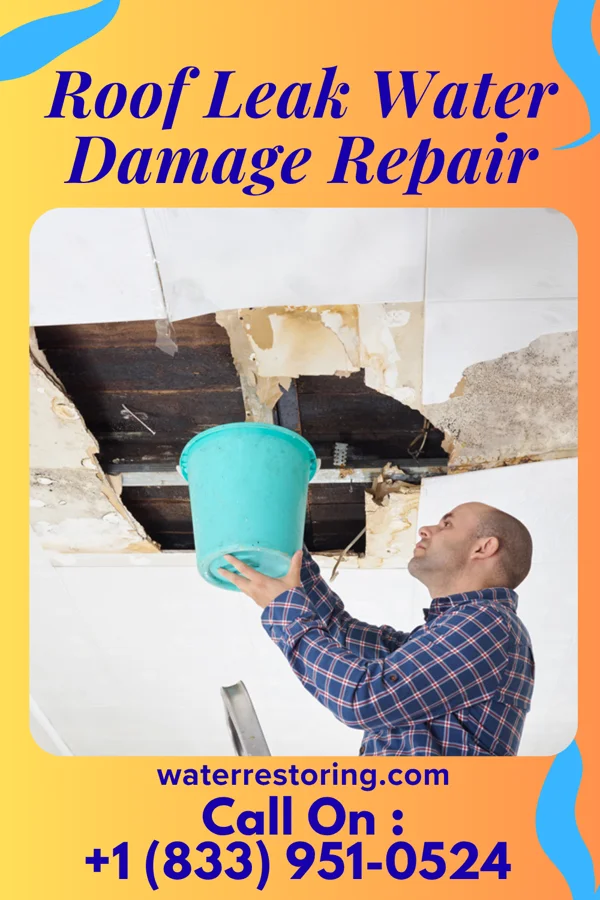 Roof Leak Water Damage Repair in Highland Park, TX
